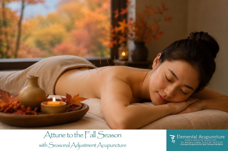 Attune to the Fall Season with Seasonal Adjustment Acupuncture